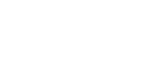 Bright Lights Properties - White Logo